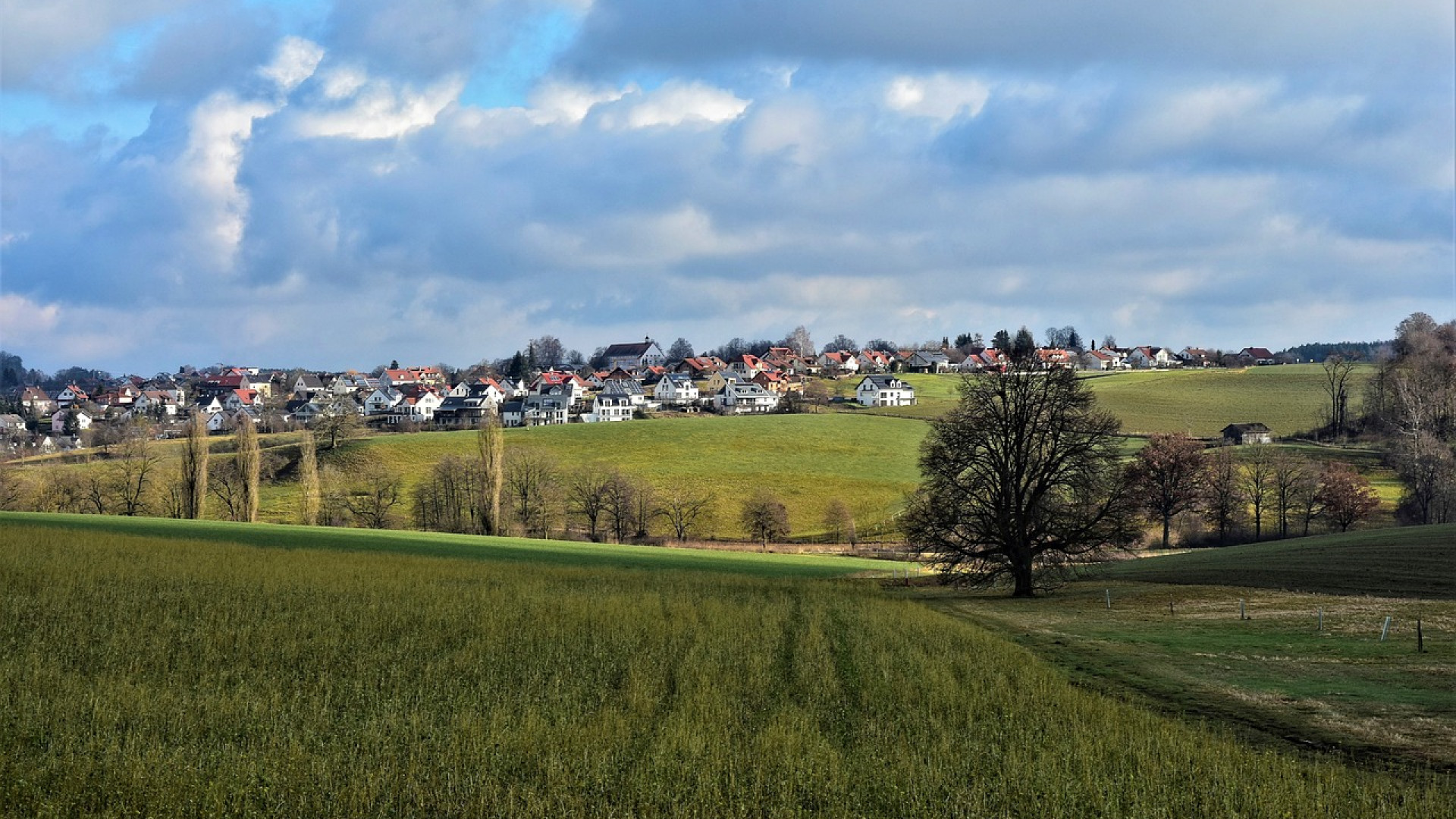 Terrain à vendre : comment faire le bon choix ?